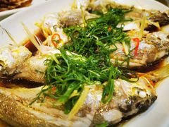-四海之家(蛇口店)