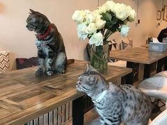 -小时光咖啡馆(北锣鼓巷店)