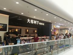 门面-大榕树下顺德菜(融创茂店)
