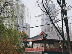 -堤角公园
