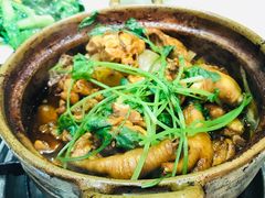 招牌家鸡煲-渝君重庆火锅(嘉宾路店)