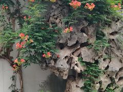 -南京民俗博物馆(甘熙故居)