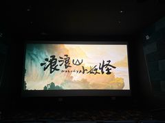 -龙之星国际影城(太平店)