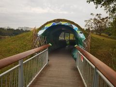 -福田红树林生态公园