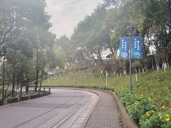 -重庆平顶山公园