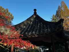 -兴福禅寺