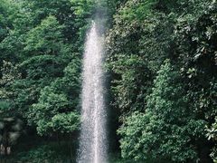 -大奇山国家森林公园