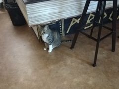 -逃脱反斗城沉浸剧情密室(北京路店)