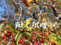 -元大都城垣遗址公园