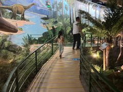 -陕西自然博物馆