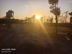 -南汇嘴观海公园