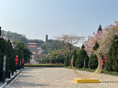 -南沙蒲洲花园