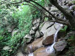 -火炉山森林公园