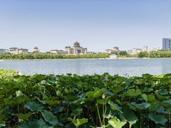 -莲花池公园