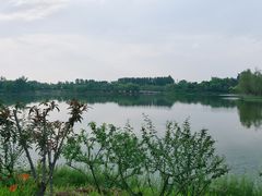 -东郊湿地公园