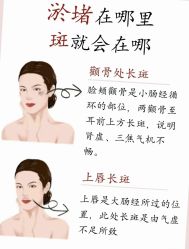 点击看大图 -玛莲朵·海菲秀冰珀科