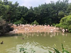 -广州长隆飞鸟乐园