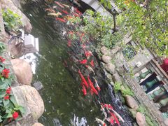 -味可道·黄圃人家园林酒家(兆丰店)