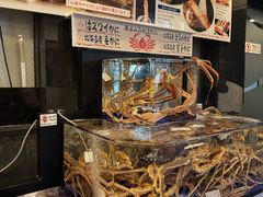 -蟹道乐(道顿堀本店)