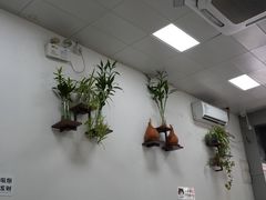 -沪依小酒馆心意菜