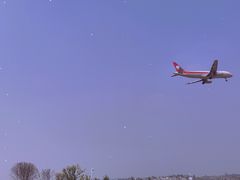 -空港花田景区
