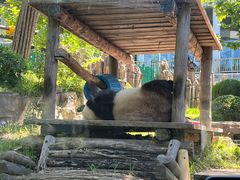 -大连森林动物园