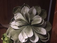 -清水湾足道馆