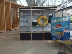 -滨海丽呈酒店游泳池(市民广场店)