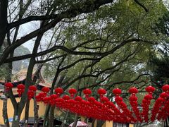 -狼山风景名胜区