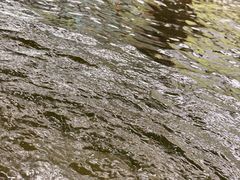 -桃源乐钓虾馆(松岗概念店)