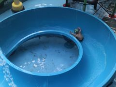 -青岛东方影都融创水世界