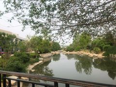 -So Lounge索兰至餐厅(蓝色港湾店)