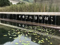 -中国宣纸文化园