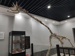 -游龙石文化科普馆