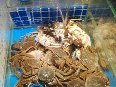 -加餐海鲜自助(集美银泰百货店)