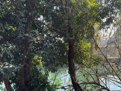 -生态苑农庄(十里画廊遇龙河店)