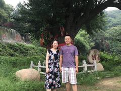 -遵化市禅林寺古银杏风景园