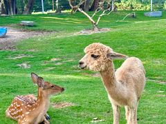 -东南花都花博园