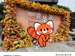 -茯茶镇