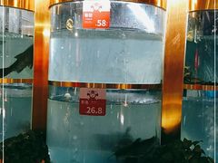 -蜀滋香鲜鱼美蛙火锅(339店)