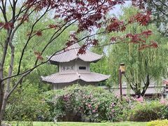 -百花洲