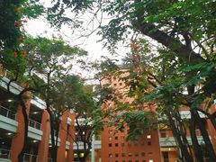 -华南理工大学(大学城校区)