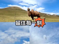 -日月山景区