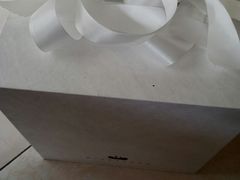 -BLACKSWAN黑天鹅(环球店)