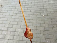 -同来顺烧烤餐厅(哈尔滨道店)