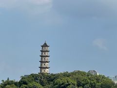 -江心屿景区