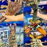 三亚｜吃海鲜就到这里😋好吃服务还超赞[强]