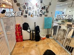 -Let's go狗咖·猫咖·奶狗·桌游(春熙路IFS店)