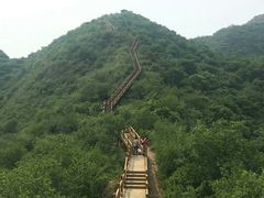 -大岭沟猕猴桃谷风景区