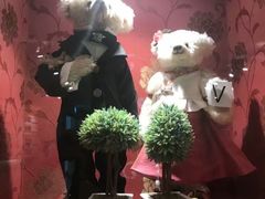 -济州岛泰迪熊博物馆